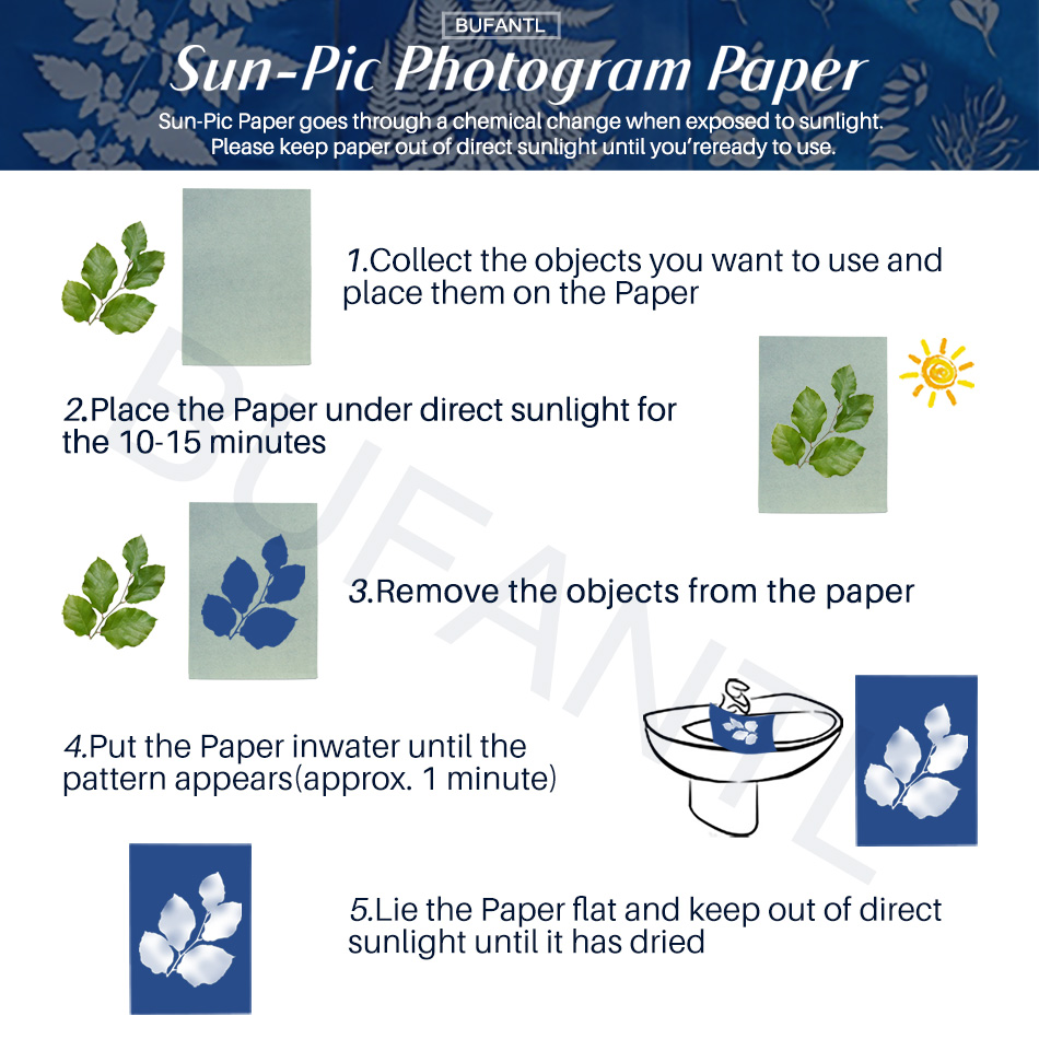 Cyanotype Paper 12 Sheets Refi - Lighting In Photography For Beginners 评论和价格