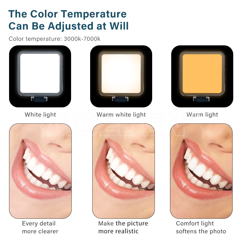 Niceden Dental portable Flash  - Photography Lighting Portable 评论和价格