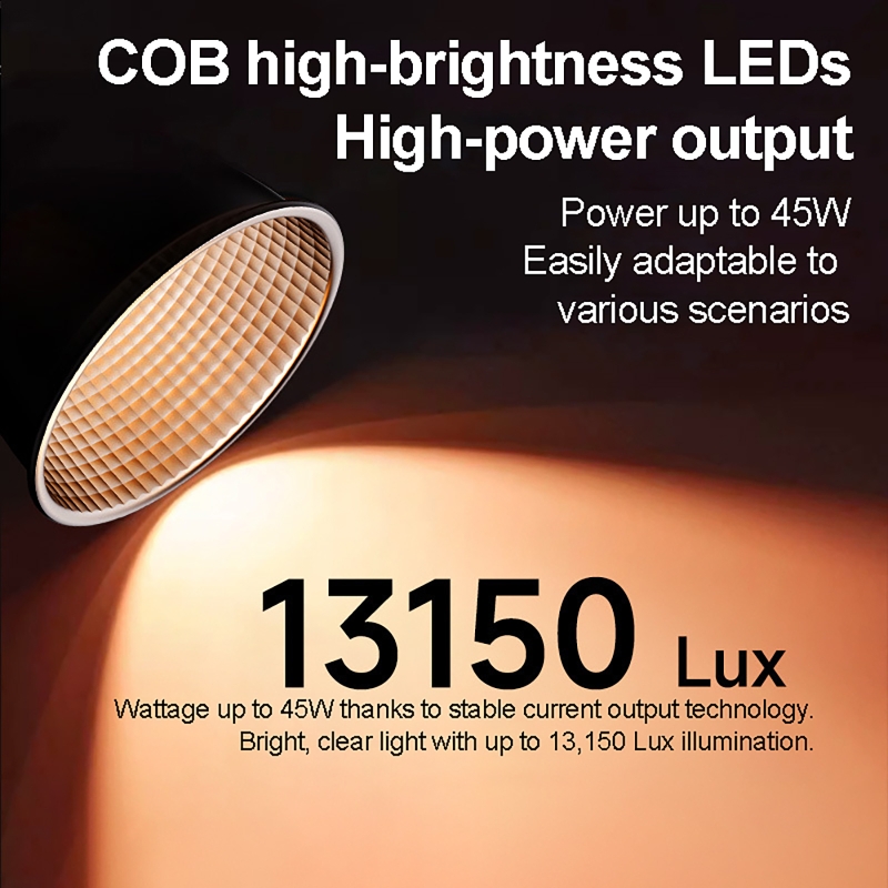 60W RGB Video Light Portable L - Photography Lighting For Products 评论和价格